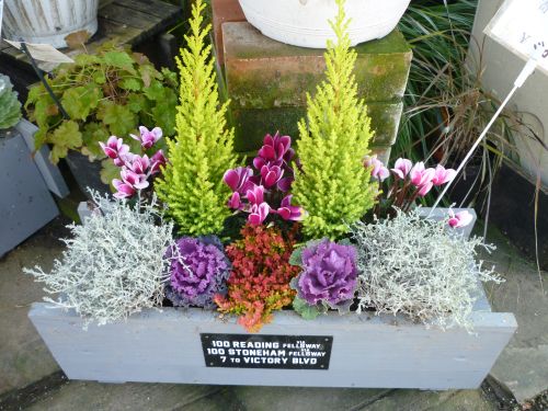 画像の名前を入力