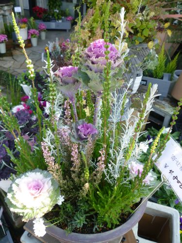 画像の名前を入力