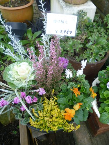 画像の名前を入力