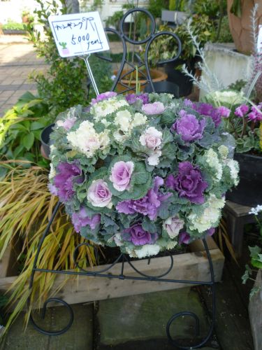 画像の名前を入力