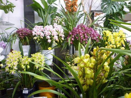 画像の名前を入力