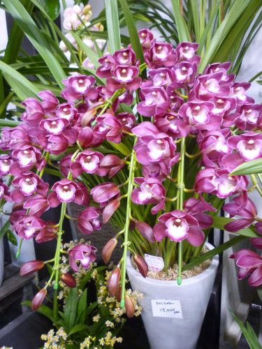 画像の名前を入力