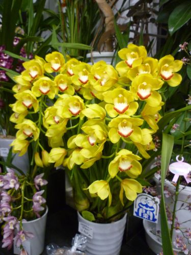 画像の名前を入力