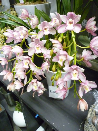 画像の名前を入力