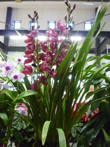 画像の名前を入力