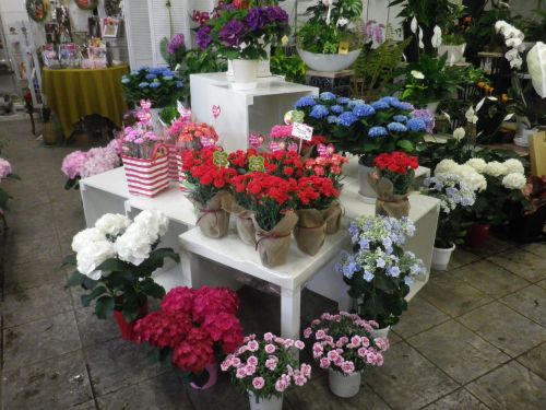 画像の名前を入力