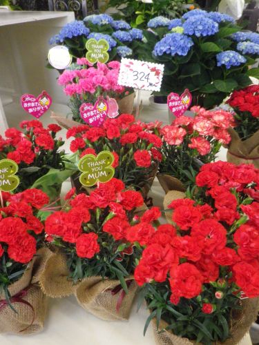 画像の名前を入力