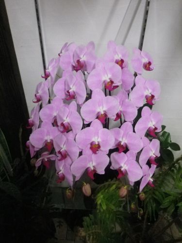 画像の名前を入力