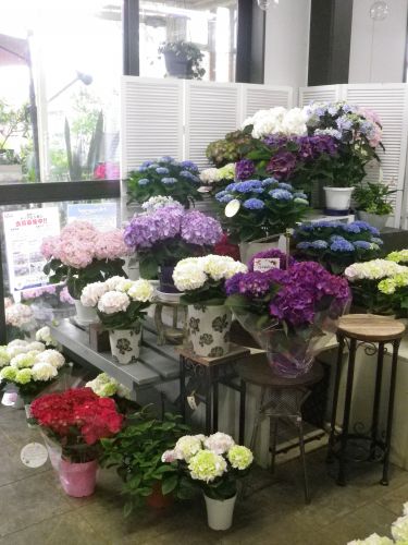 画像の名前を入力