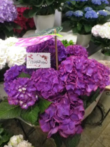 画像の名前を入力