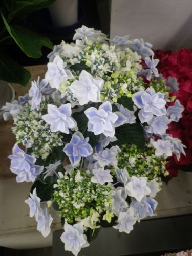 画像の名前を入力