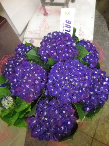 画像の名前を入力