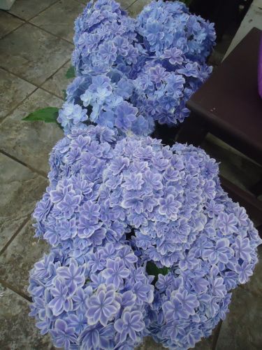 画像の名前を入力