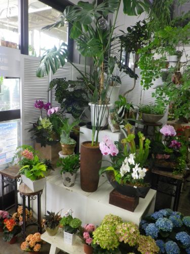 画像の名前を入力