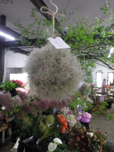 画像の名前を入力