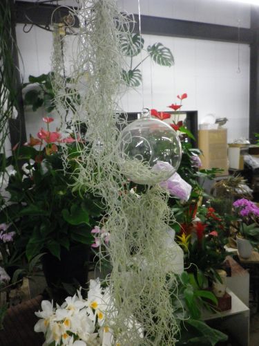 画像の名前を入力