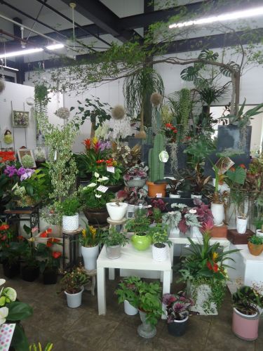 画像の名前を入力