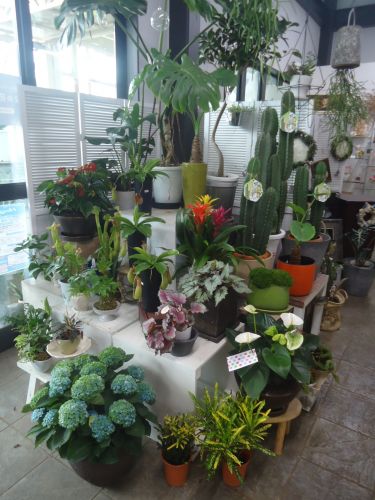 画像の名前を入力