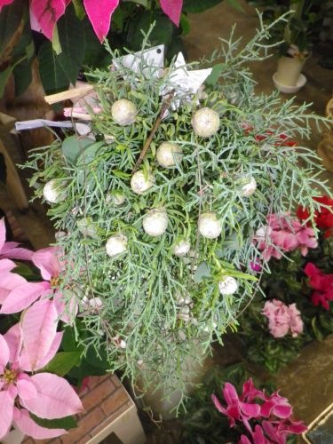 画像の名前を入力