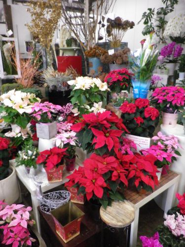 画像の名前を入力