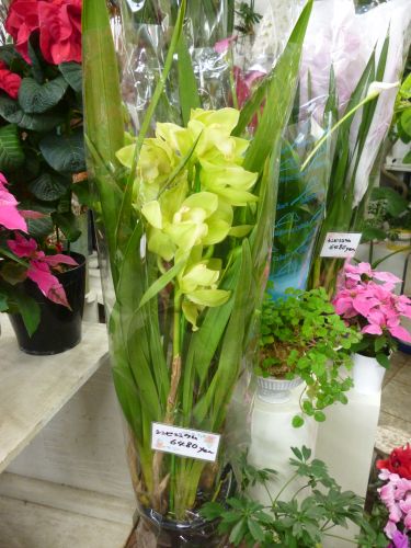 画像の名前を入力