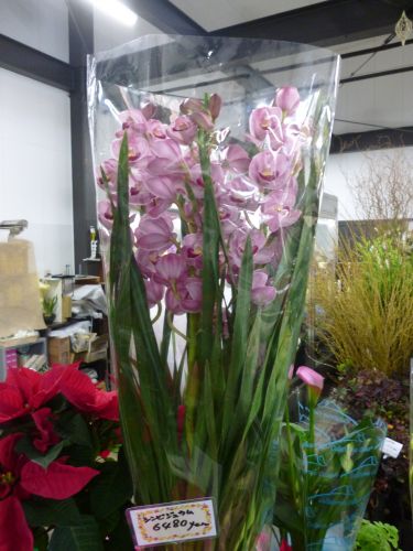 画像の名前を入力