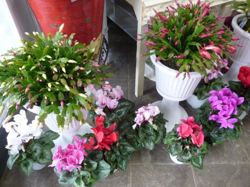 画像の名前を入力