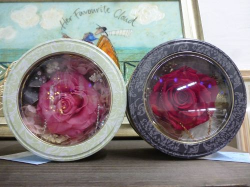 画像の名前を入力