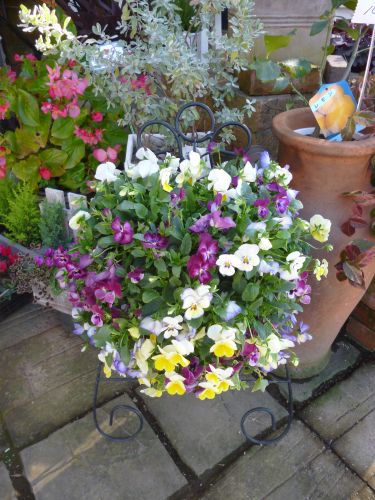 画像の名前を入力