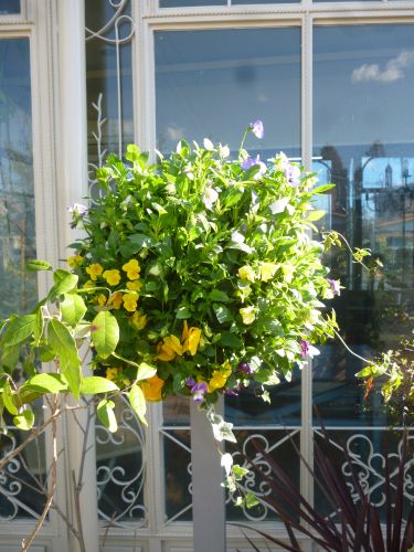 画像の名前を入力