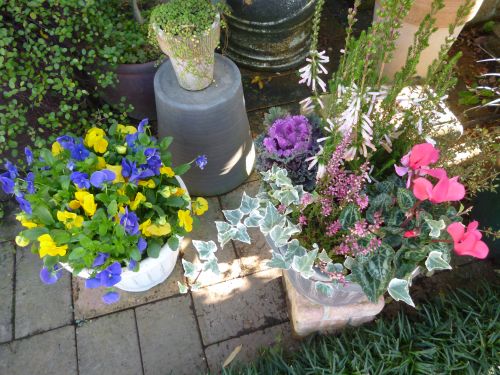 画像の名前を入力