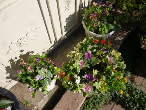 画像の名前を入力