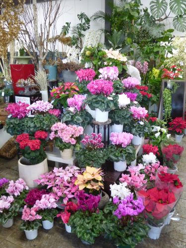 画像の名前を入力