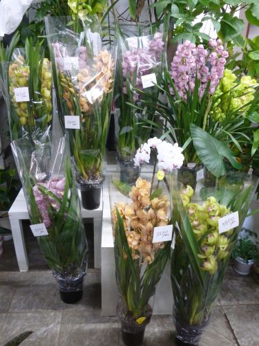 画像の名前を入力