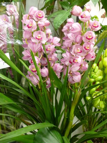 画像の名前を入力