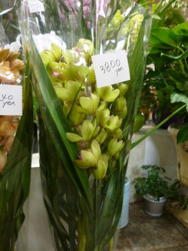 画像の名前を入力