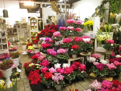 画像の名前を入力