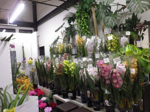 画像の名前を入力