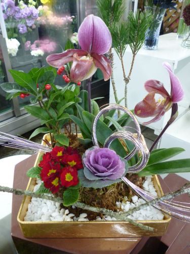 画像の名前を入力