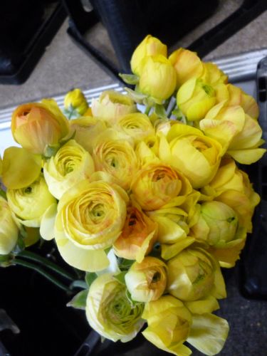 画像の名前を入力