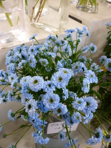 画像の名前を入力