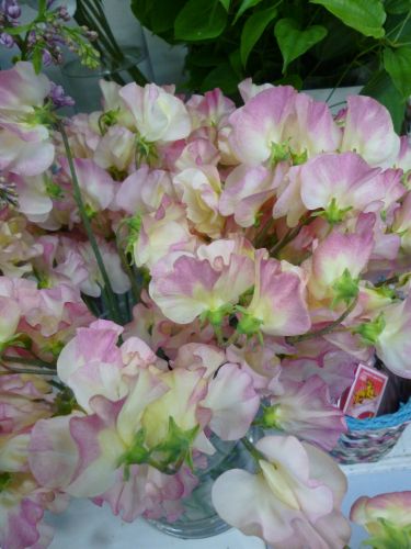 画像の名前を入力