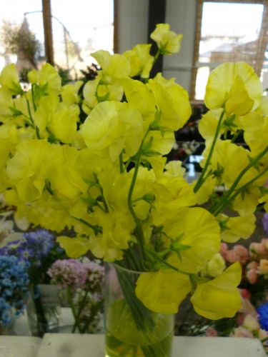 画像の名前を入力