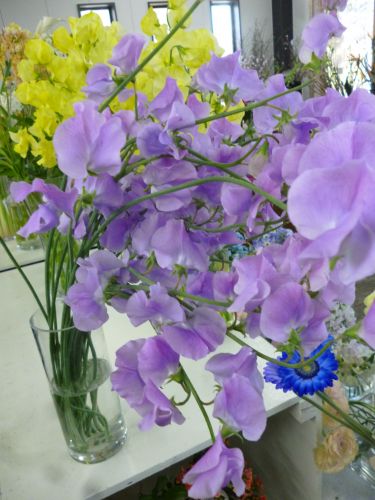 画像の名前を入力