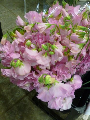 画像の名前を入力