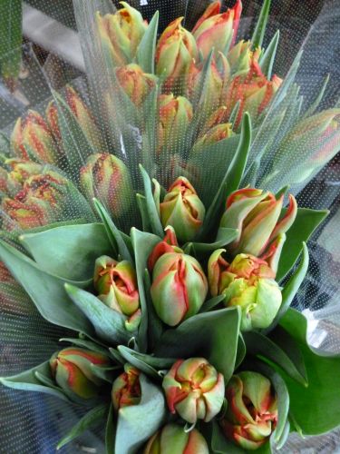 画像の名前を入力