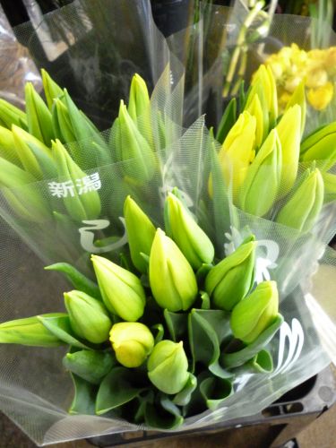 画像の名前を入力