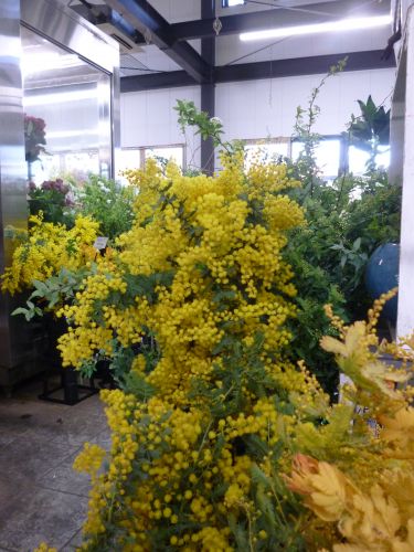 画像の名前を入力