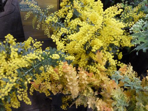 画像の名前を入力