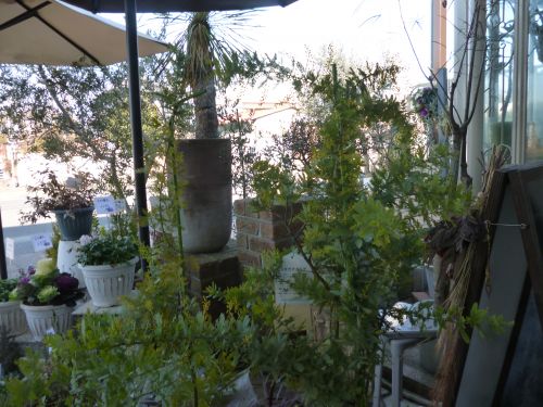 画像の名前を入力